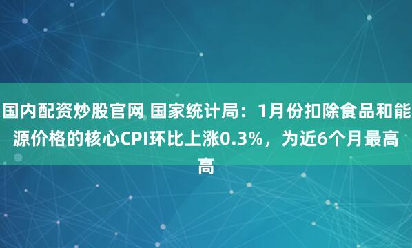 国内配资炒股官网 国家统计局：1月份扣除食品和能源价格的核心CPI环比上涨0.3%，为近6个月最高